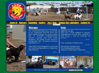 IBSI-US.COM Affordable Custom Web site design Tampa Florida