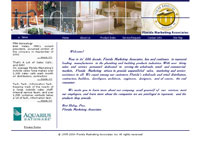 IBSI-US.COM Affordable Custom Web site design Tampa Florida
