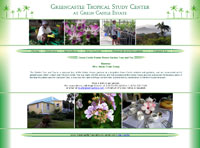 IBSI-US.COM Affordable Custom Web site design Tampa Florida