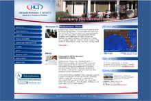IBSI-US.COM Affordable Custom Web site design Tampa Florida